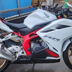  本日限り CBR250RR mc51 パールグレアホワイトの画像
