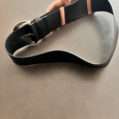 この時期にぴったり！ファッションベルトの画像