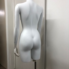 トルソー&ボディの画像