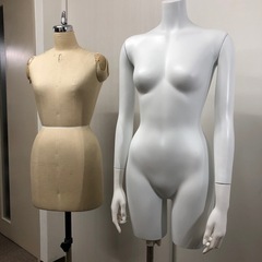 トルソー&ボディの画像