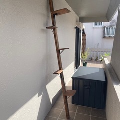 キャットタワー