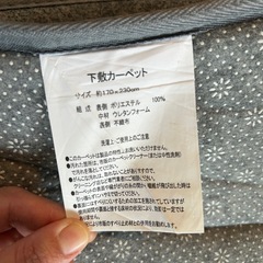 Panasonic電気カーペットの画像