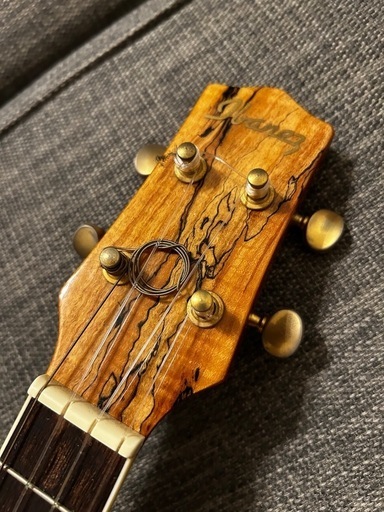 極美品 アイバニーズ エレクトリックウクレレ 杢目 コンサートサイズ