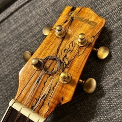 極美品　アイバニーズ　エレクトリックウクレレ　杢目　コンサートサイズの画像