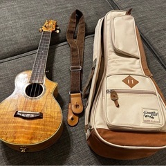 極美品　アイバニーズ　エレクトリックウクレレ　杢目　コンサートサイズ