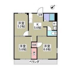 ✨🉐フリーレント1ヶ月付き🉐✨敷金0・礼金0・仲介手数料0🎶45...