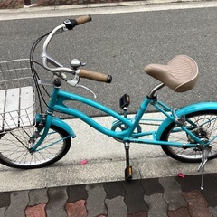 🚴コーストライン20インチの画像