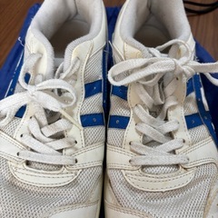 体育館シューズの画像