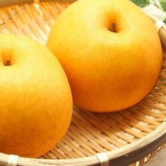 群馬県 野菜掘り 果物狩り 🍓メンバー募集🍇 - 友達