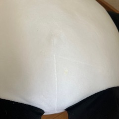 【お取り引き先決定しました】パンダ　ぬいぐるみの画像