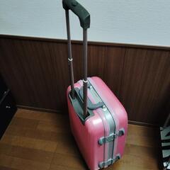 キャリーの画像