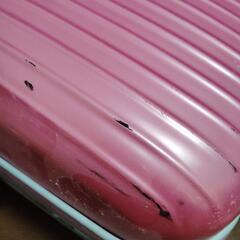 キャリーの画像