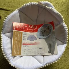 ソフトタイプ　エリザベスカラー　Mサイズ（ワンちゃん、ネコちゃんに）の画像