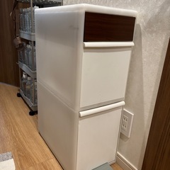 ライクイット (like-it) ペダル式ゴミ箱 分別スイングス...