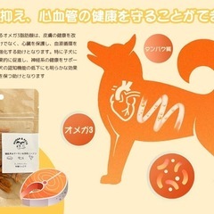 国産鳥＆サーモン＆野菜ニンジン]ミックスジャーキー 国産無添加の画像