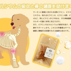 国産鳥＆サーモン＆野菜ニンジン]ミックスジャーキー 国産無添加の画像