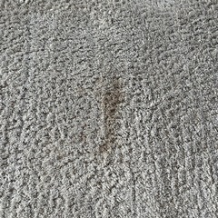 カーペッドの画像