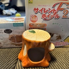 ハムスター色々セット