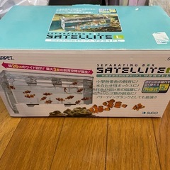 熱帯魚　サテライト　隔離ケースL
