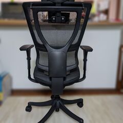 エルゴヒューマン スマートの画像