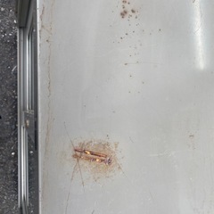 スチール棚　キャビネット鍵なし！　事務スチール棚の画像