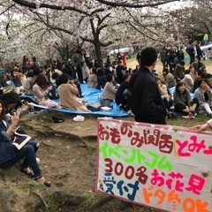 2025年大阪お花見纏め【合計400名】大阪でも有名なハイクオリ...
