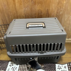 犬クレートアイリスオーヤマM
