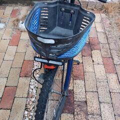 ブリジストン 子供用 自転車 24インチの画像