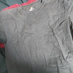 【お引渡し調整中】ヘインズのBEEY-Tシャツ　サイズL　差し上げます。の画像