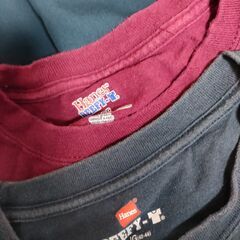 【お引渡し調整中】ヘインズのBEEY-Tシャツ　サイズL　差し上...