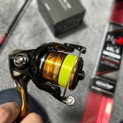 アジングセットの画像