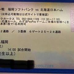 決まりました！3月15日ソフトバンクホークス オープン戦チケット