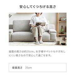 2人掛けローソファーの画像