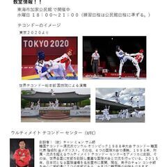 UTCテコンドー東海市教室の画像