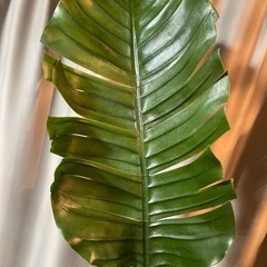 【受渡予定】フェイクグリーンの画像