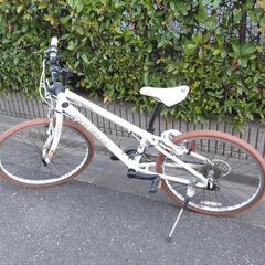 ルイガノ lgs-chasse 24 17