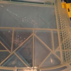 アクアビーズの画像