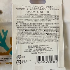 DMMかりゆし水族館　入場記念　2の画像
