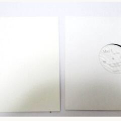 レコード　「Garden」　シュガーソウル　MayJ　QEMIX...