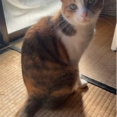 可愛らしいララちゃん