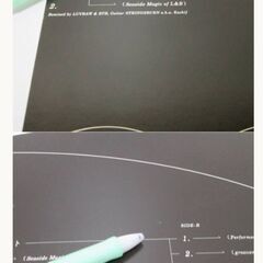 稀少限定盤レコード「七尾旅人サーカスナイト」向井秀徳12インチPEJF