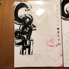 【あげます】漫画　クラッシュ　桜沢エリカ　全2巻の画像