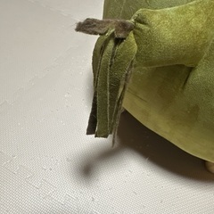 ペット用ドームの画像