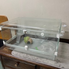 【お譲り先決定】ハムスター等小動物ペット入門セット