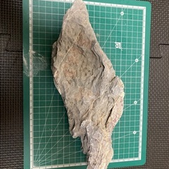 竜王石 5つ