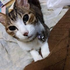 おわび
