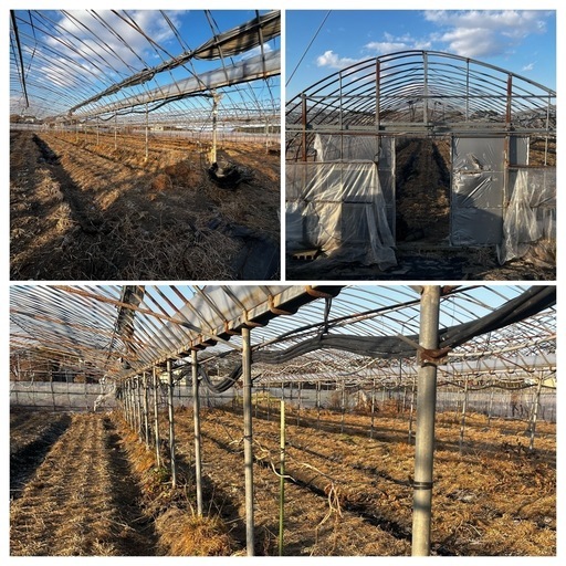 お渡し先決まりました！【福岡みやま】中古パイプハウス 譲ります！解体出来る方！