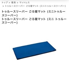 【新品】トゥルースリーパー ごろ寝マット