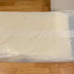 【新品】トゥルースリーパー ごろ寝マットの画像