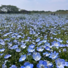 お友達募集中です𓂃𓂂ꕤ*.ﾟ